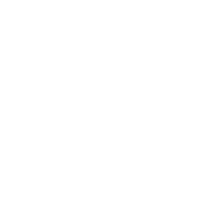 Programmierung / Entwicklung Icon